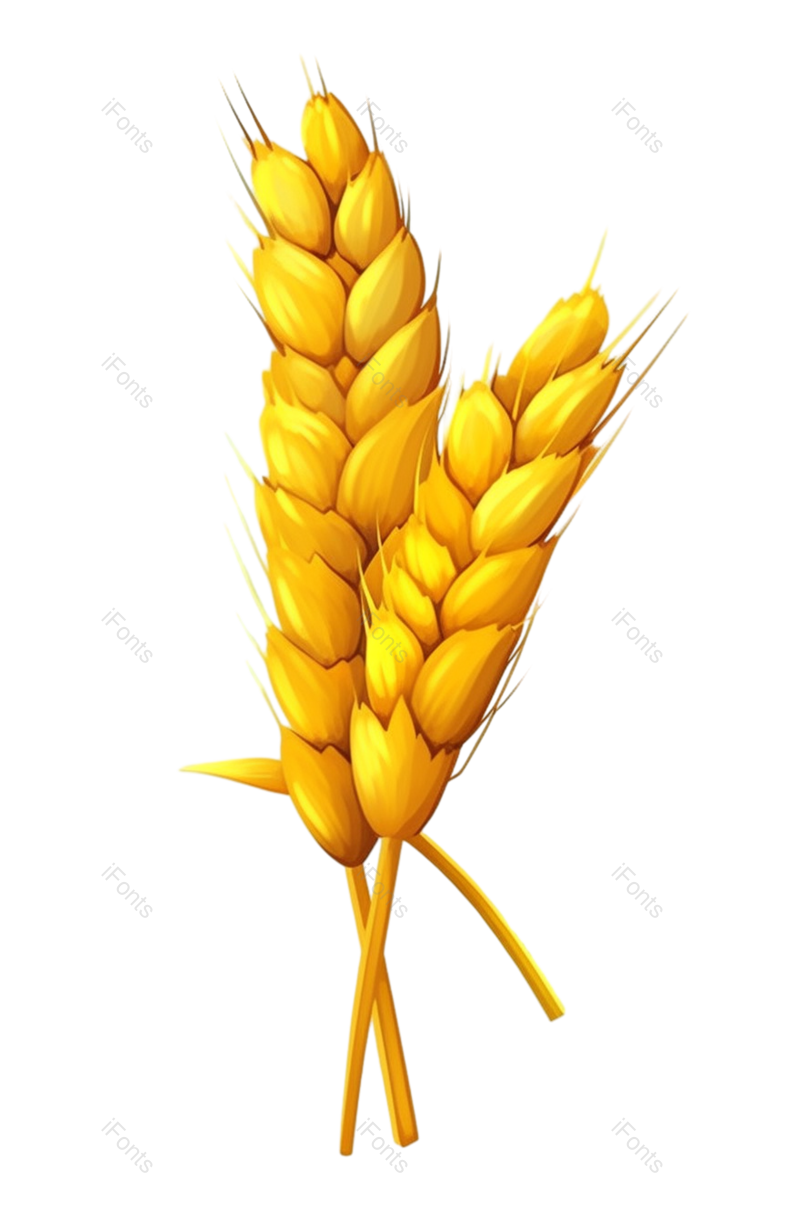芒种图片,小满元素,麦子PNG,丰收免抠素材